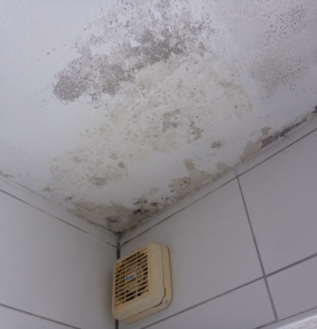 Wasserschaden Illustration